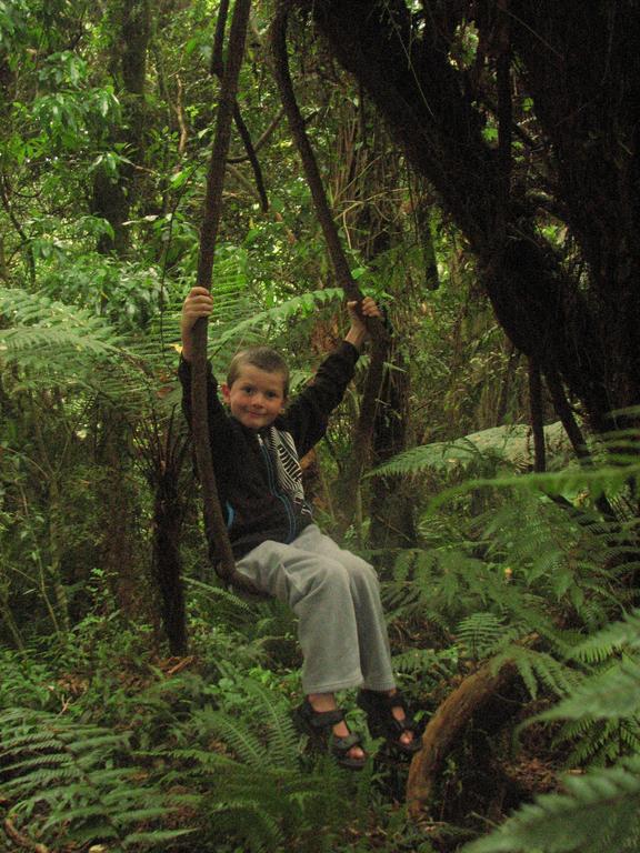 Catlins Newhaven Holiday Park Owaka Номер фото