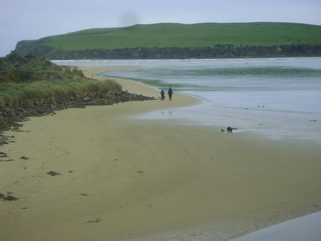 Catlins Newhaven Holiday Park Owaka Екстер'єр фото