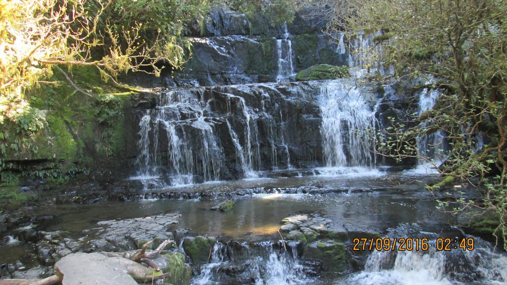 Catlins Newhaven Holiday Park Owaka Екстер'єр фото