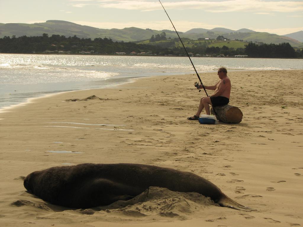Catlins Newhaven Holiday Park Owaka Екстер'єр фото